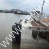 Đệm va con lăn (nt - roller fenders) 16 Đệm va con lăn - roller fenders4